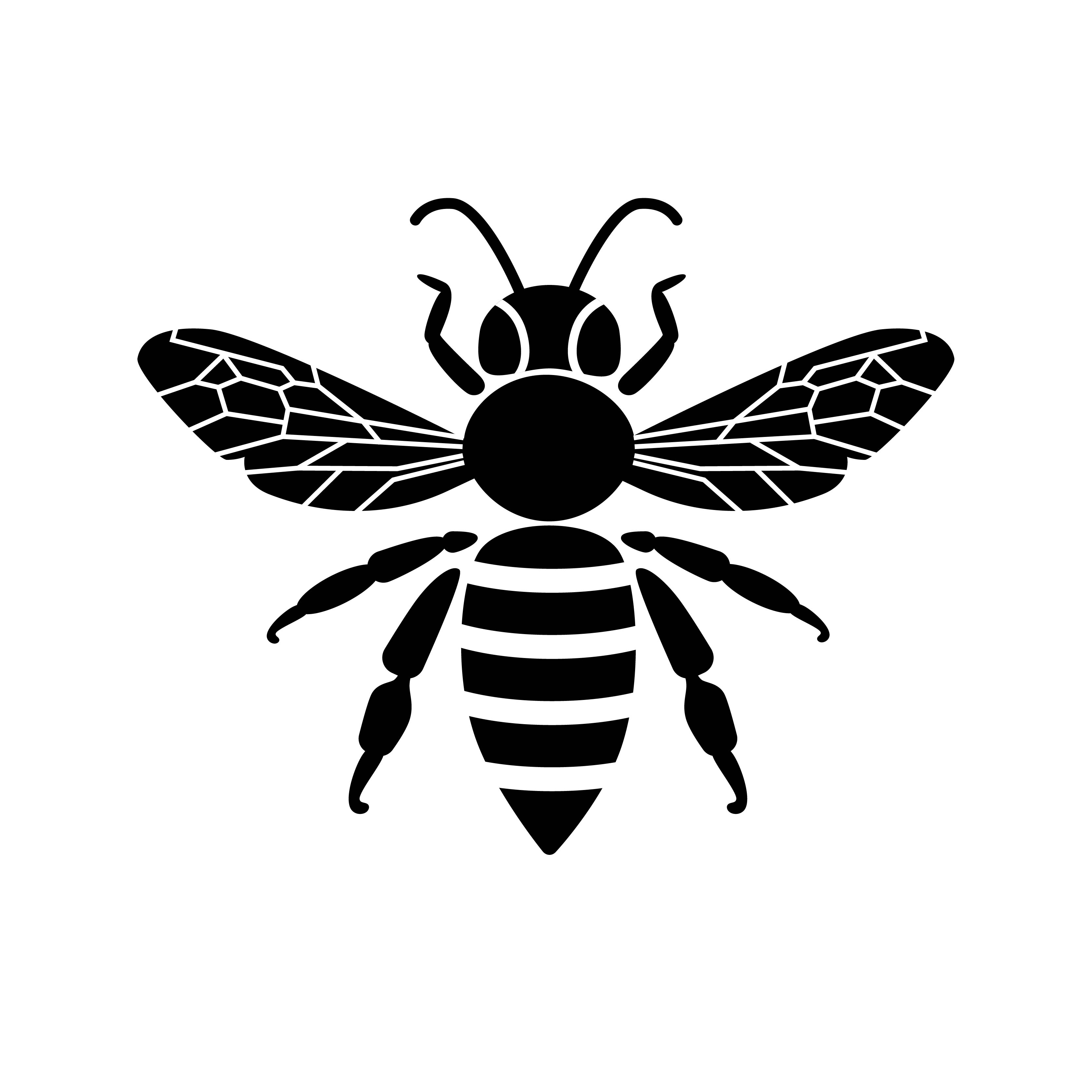 Host image